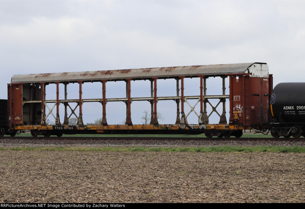 TTGX 157353